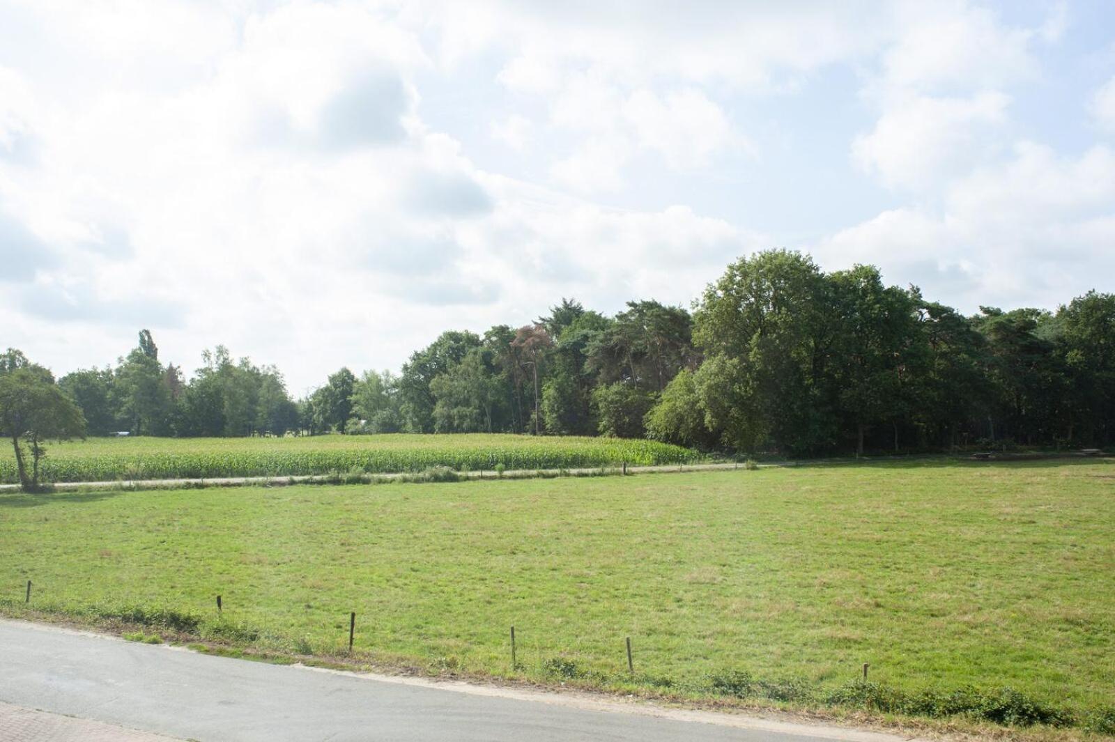 Hotel De Boshoek Voorthuizen Oda fotoğraf